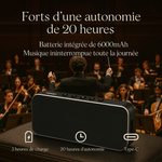 Mini enceinte Bluetooth 60w